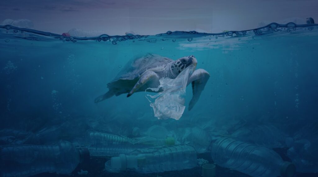 Un mar de plástico: la necesidad de reciclar